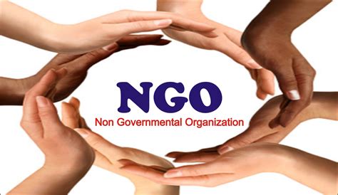 non governmental organizations in nigeria.
